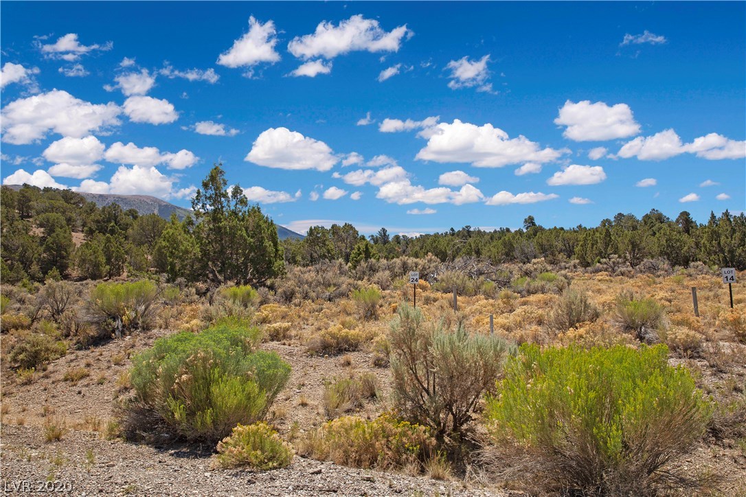 5205 East Bird Creek Road Ely, NV 89301 - Photo 7 of 23 LOT 24