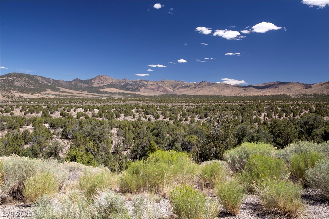 5205 East Bird Creek Road Ely, NV 89301 - Photo 8 of 23