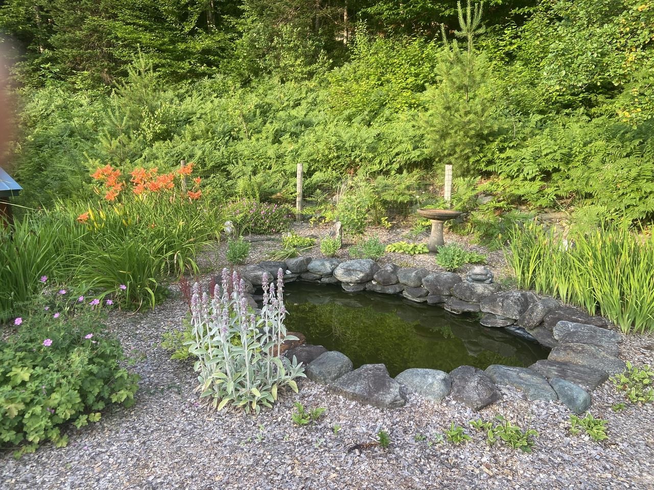 159 Tracy Hill Road Roxbury, VT 05669 - Photo 48 of 58