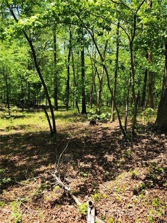 103 River Crest Parkway Rutherfordton, NC 28139 - Photo 11 of 15 Gallery Image 11