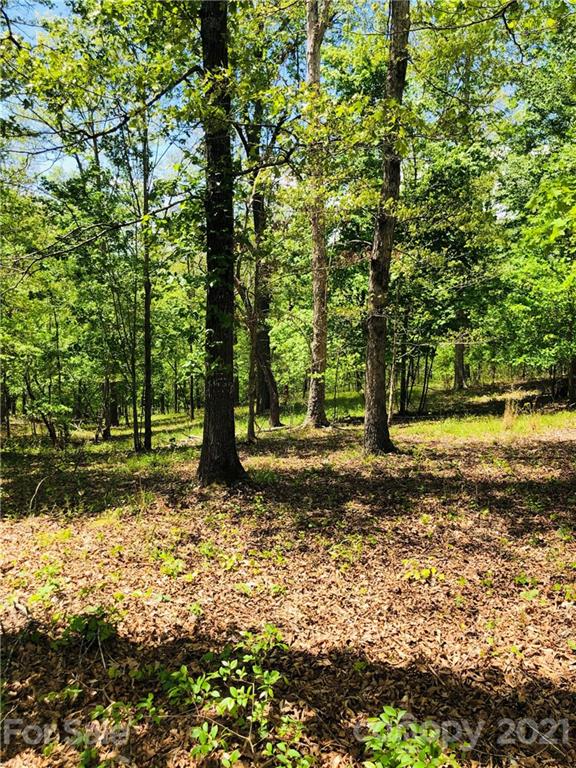 103 River Crest Parkway Rutherfordton, NC 28139 - Photo 12 of 15 Gallery Image 12