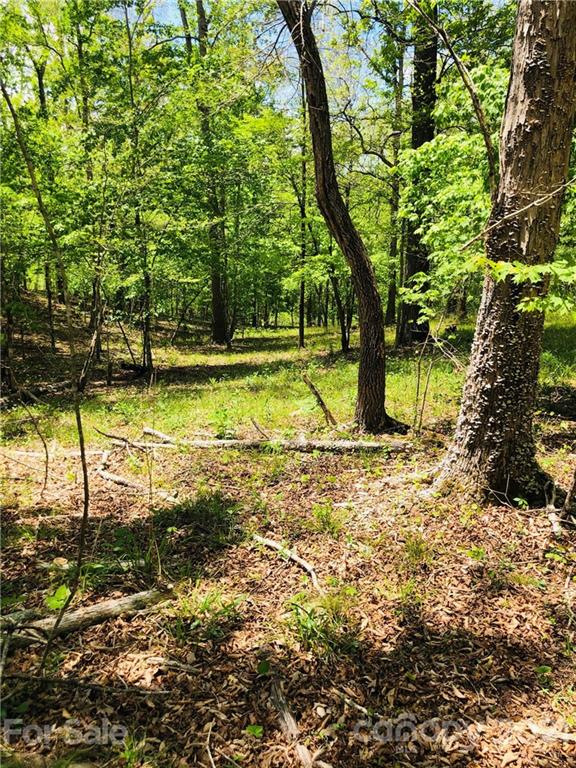 103 River Crest Parkway Rutherfordton, NC 28139 - Photo 13 of 15 Gallery Image 13