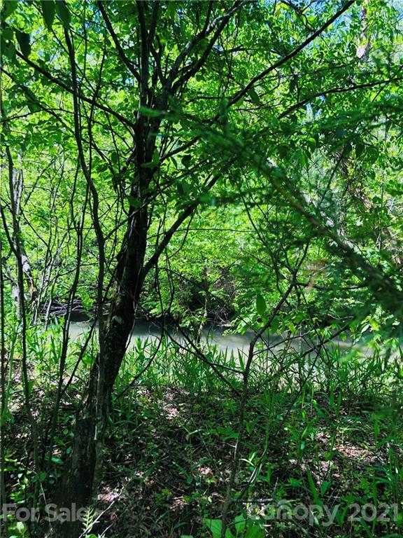 103 River Crest Parkway Rutherfordton, NC 28139 - Photo 15 of 15 Gallery Image 15