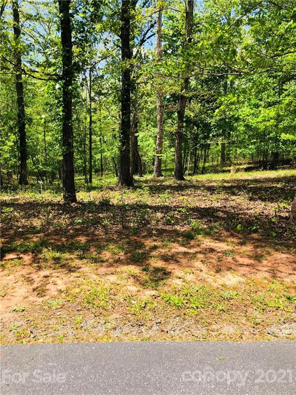 103 River Crest Parkway Rutherfordton, NC 28139 - Photo 8 of 15 Gallery Image 8