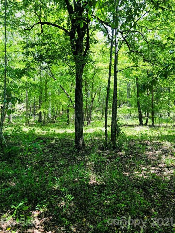 103 River Crest Parkway Rutherfordton, NC 28139 - Photo 9 of 15 Gallery Image 9