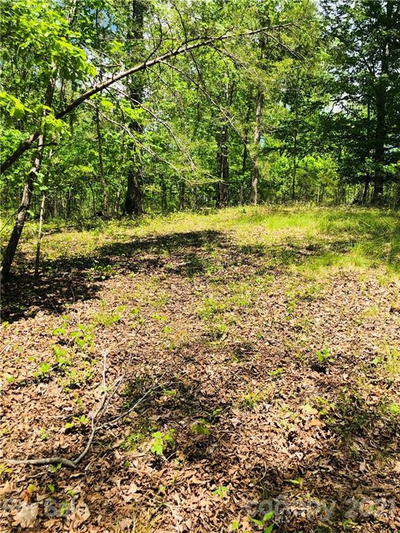 103 River Crest Parkway Rutherfordton, NC 28139 - Photo 10 of 15 Gallery Image 10