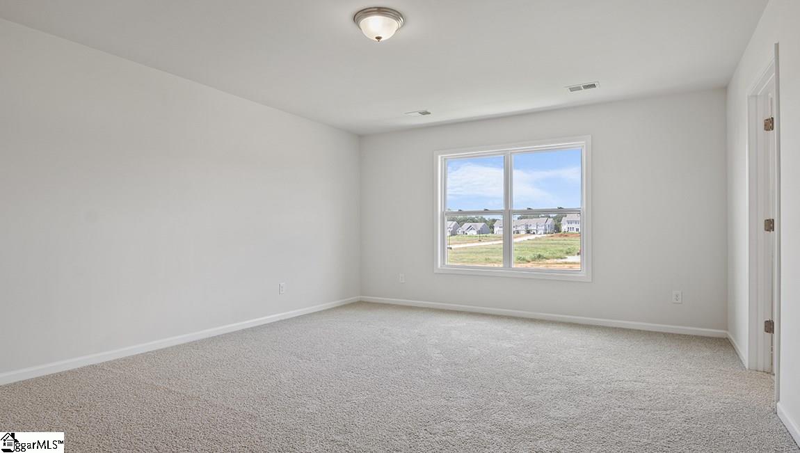 568 Yellow Fox Road, Unit 274 Greer, SC 29650 - Photo 22 of 24 Gallery Image 22