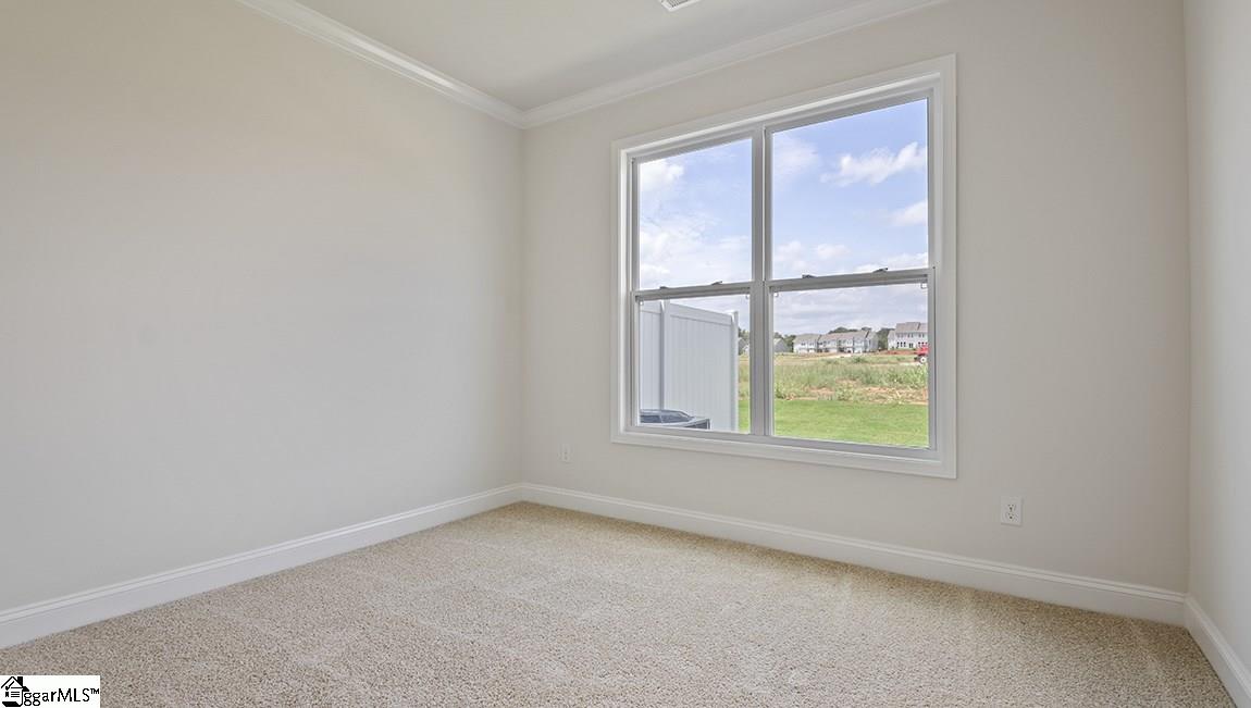568 Yellow Fox Road, Unit 274 Greer, SC 29650 - Photo 4 of 24 Gallery Image 4