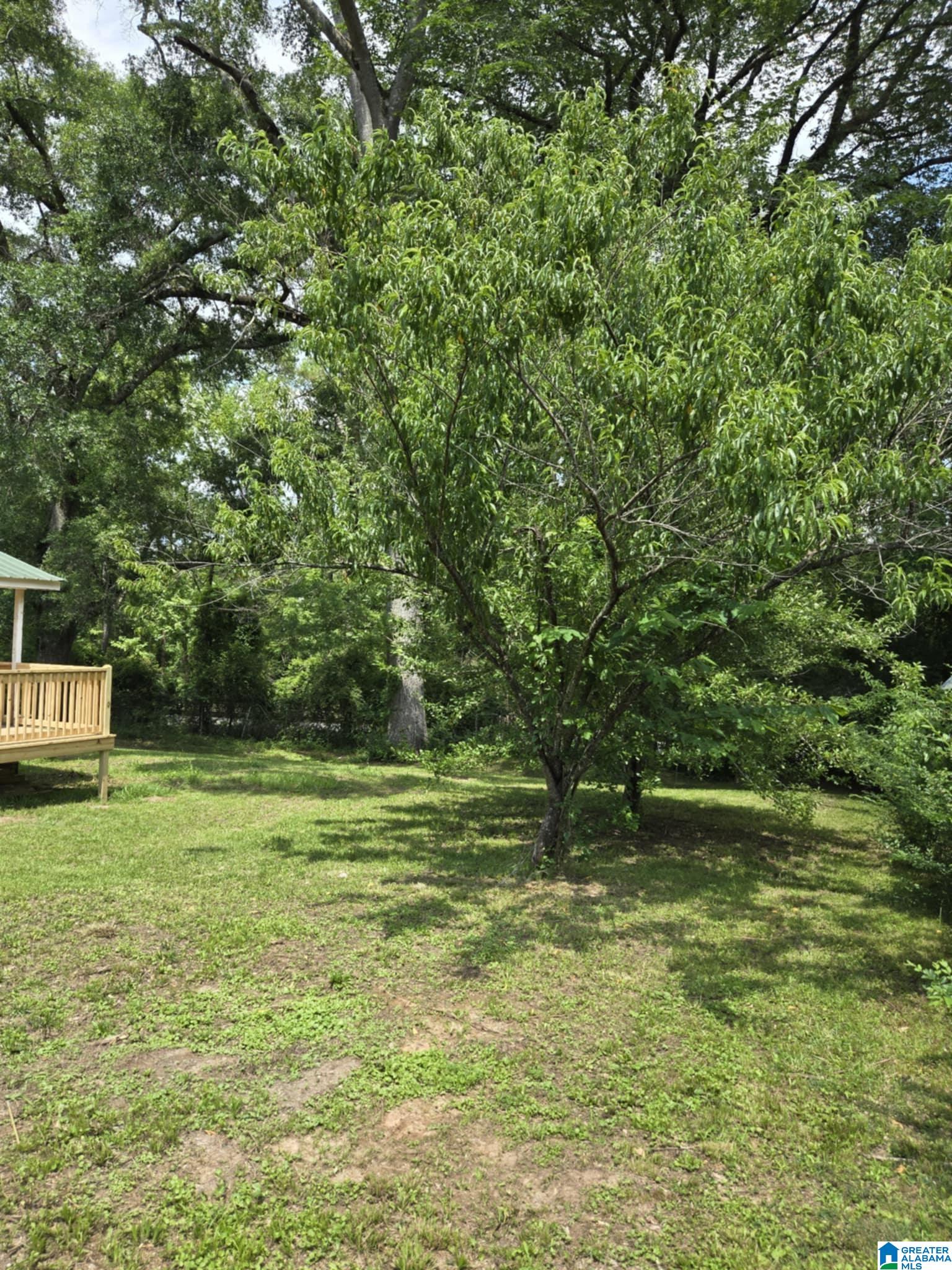 10511 Highway 17 Alabaster, AL 35114 - Photo 21 of 22