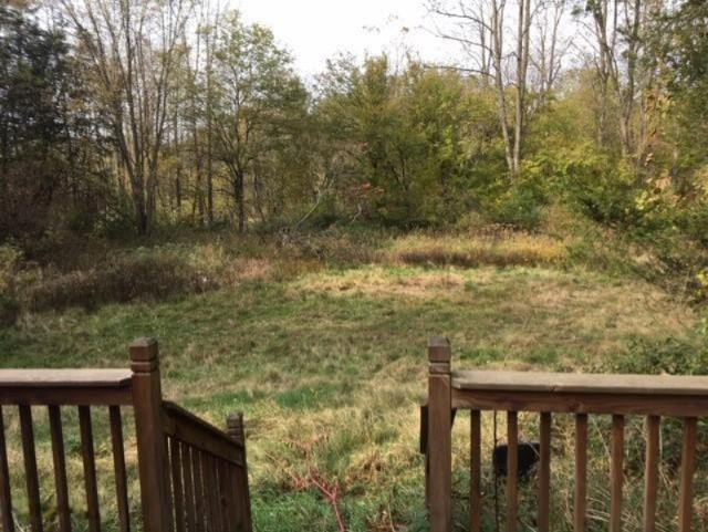 1320 Anderson Road Niles, MI 49120 - Photo 20 of 25 1320 Anderson backyard
