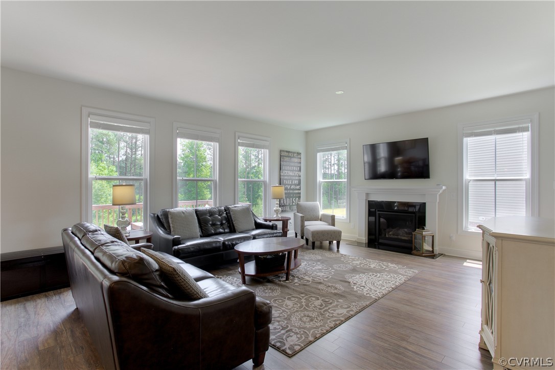16019 Longlands Road Chesterfield, VA 23832 - Photo 18 of 50 Family Room