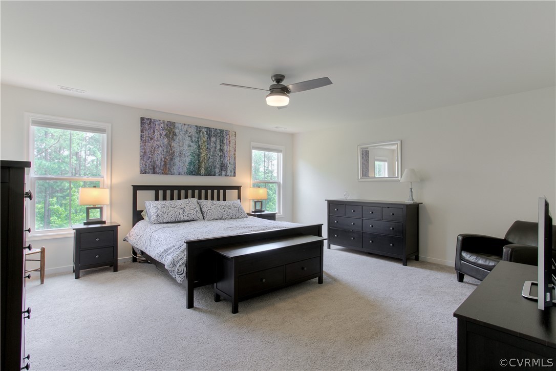 16019 Longlands Road Chesterfield, VA 23832 - Photo 24 of 50 Master Bedroom is large and includes an ensuite ma