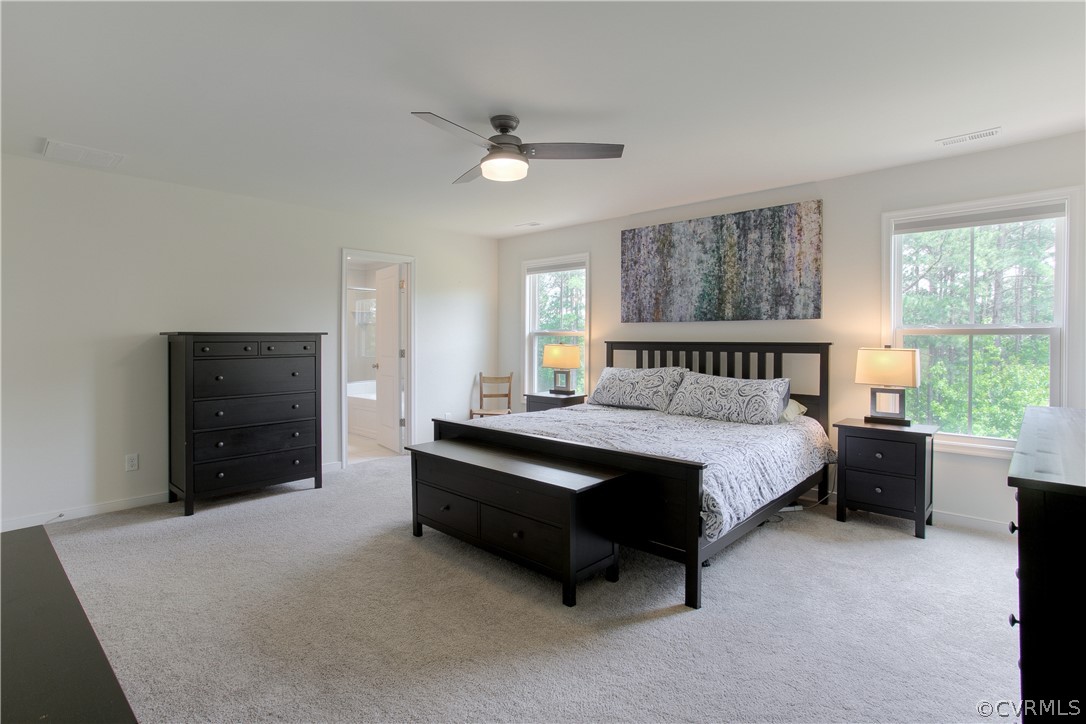 16019 Longlands Road Chesterfield, VA 23832 - Photo 25 of 50 Master Bedroom looking into Master Bathroom