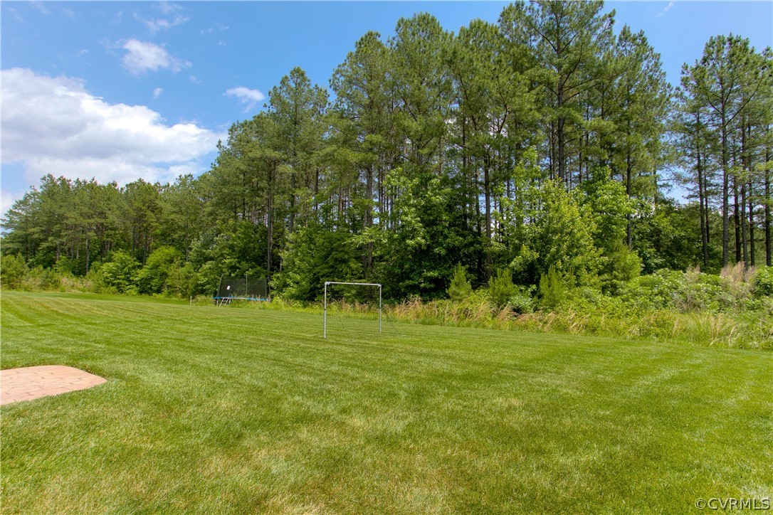 16019 Longlands Road Chesterfield, VA 23832 - Photo 44 of 50 Backyard space showing how private the lot is