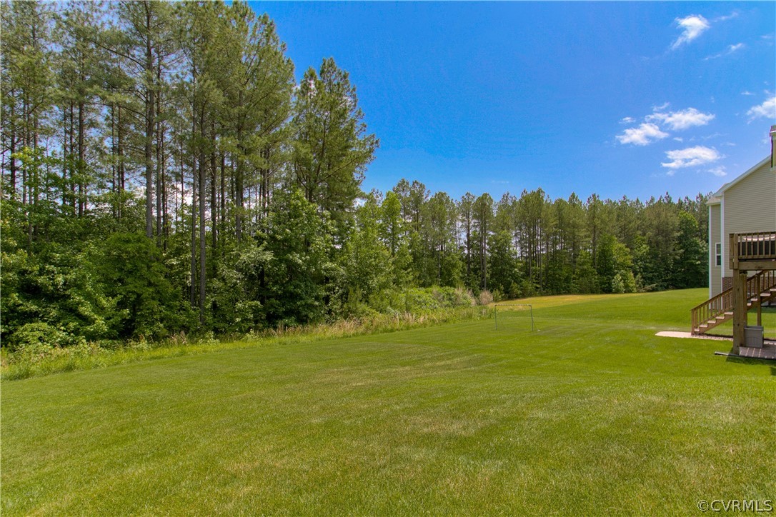 16019 Longlands Road Chesterfield, VA 23832 - Photo 47 of 50 Rear Backyard area