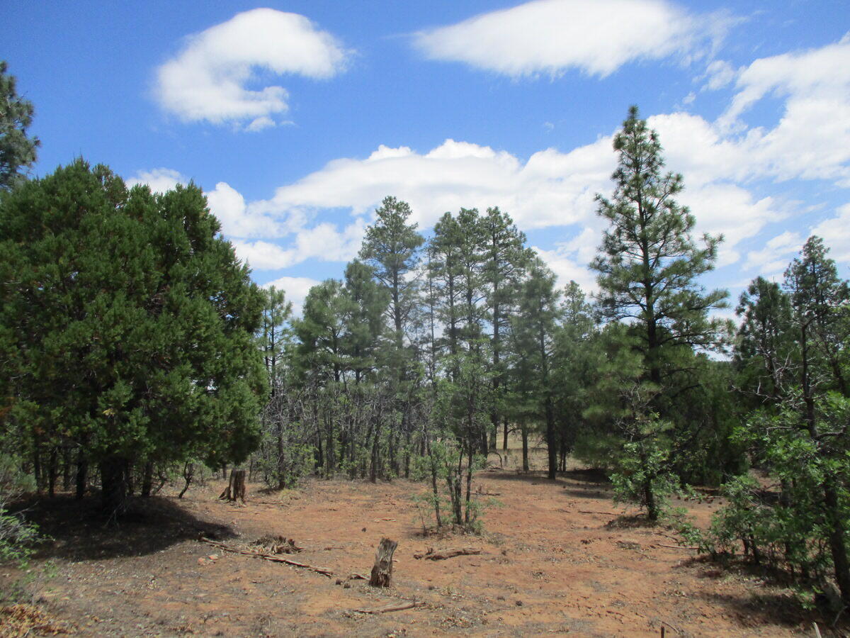 157 Forest Road Ramah, NM 87321 - Photo 14 of 71 Gallery Image 14