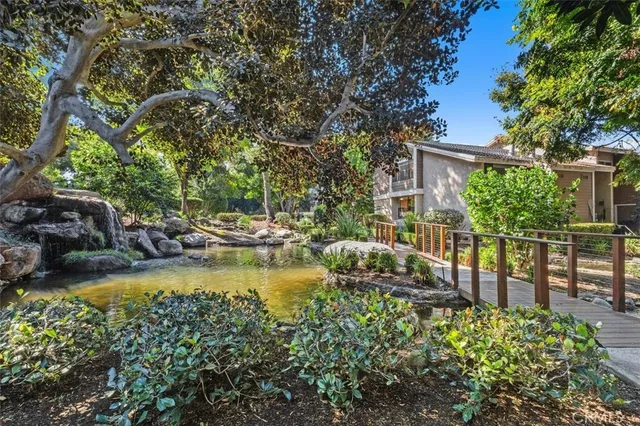 a view of swimming pool with lawn chairs and plants