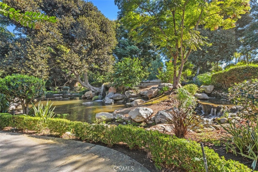 37 Lakepines Irvine, CA 92620 - Photo 29 of 55 a view of a lake with a tree