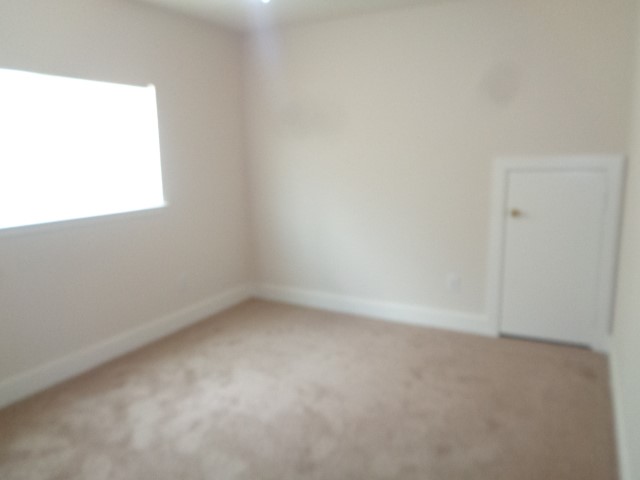 231 Silver Mist Circle Dickinson, TX 77539 - Photo 16 of 21