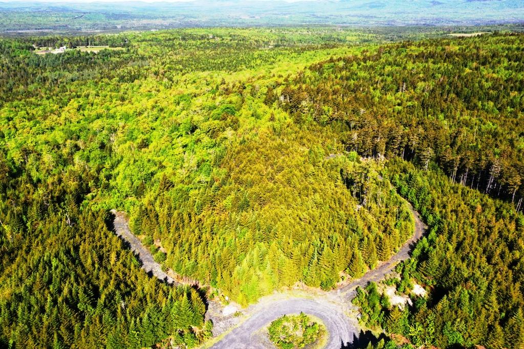 Tbd Tbd Alpine Ridge, Unit LOT 11 Greenville, ME 04441 - Photo 2 of 32 DJI_0181