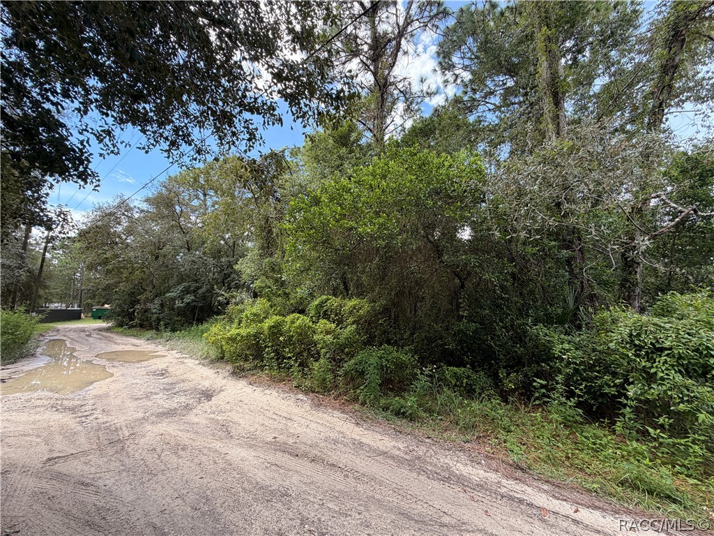 5710 South Leopard Point Homosassa, FL 34446 - Photo 6 of 10 Gallery Image 6