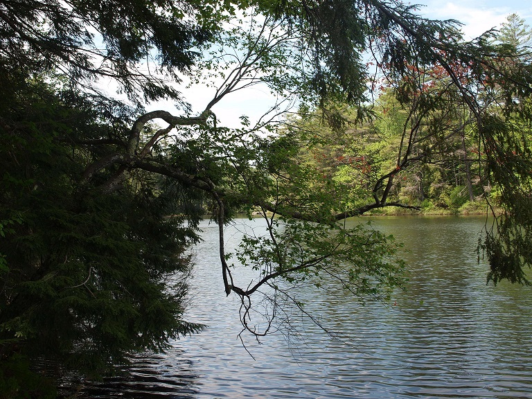 0 Partridge Lake Road Littleton, NH 03561 - Photo 1 of 28
