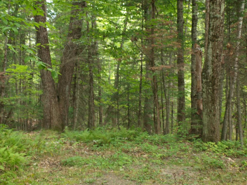 0 Partridge Lake Road Littleton, NH 03561 - Photo 13 of 28