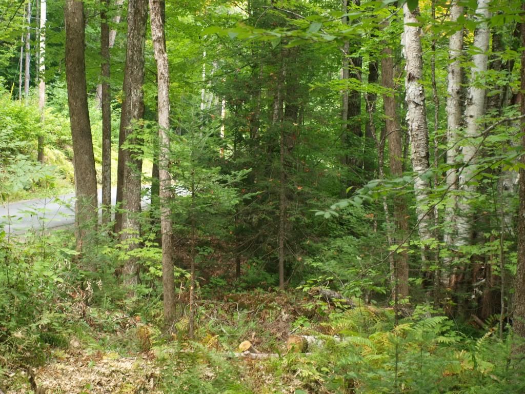 0 Partridge Lake Road Littleton, NH 03561 - Photo 14 of 28
