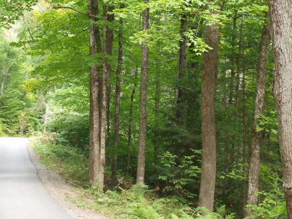 0 Partridge Lake Road Littleton, NH 03561 - Photo 15 of 28