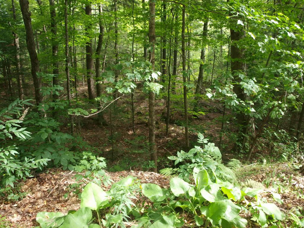 0 Partridge Lake Road Littleton, NH 03561 - Photo 17 of 28