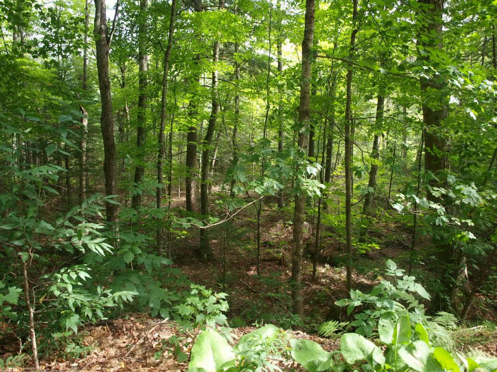 0 Partridge Lake Road Littleton, NH 03561 - Photo 18 of 28
