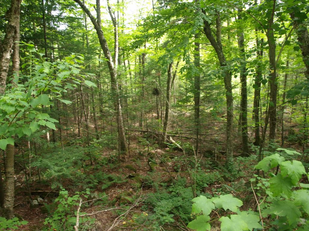 0 Partridge Lake Road Littleton, NH 03561 - Photo 19 of 28