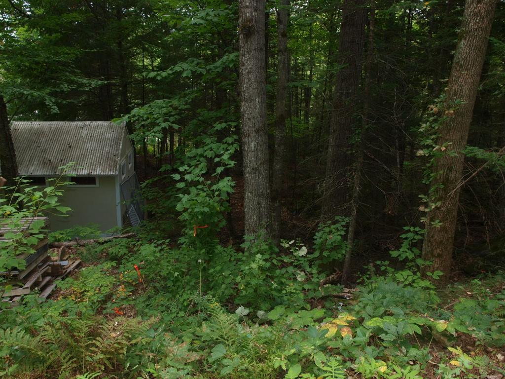 0 Partridge Lake Road Littleton, NH 03561 - Photo 21 of 28
