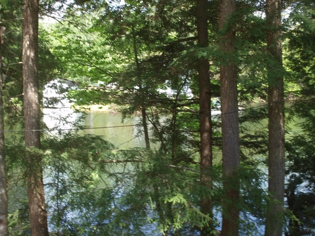 0 Partridge Lake Road Littleton, NH 03561 - Photo 27 of 28