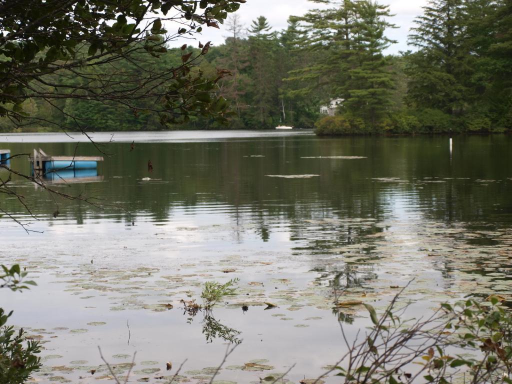 0 Partridge Lake Road Littleton, NH 03561 - Photo 4 of 28