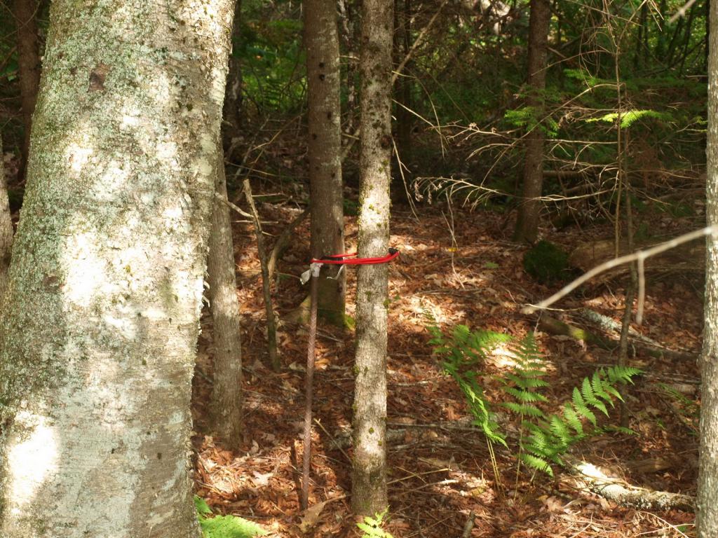 0 Partridge Lake Road Littleton, NH 03561 - Photo 6 of 28