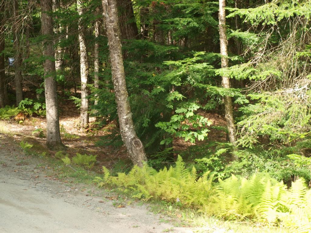 0 Partridge Lake Road Littleton, NH 03561 - Photo 7 of 28