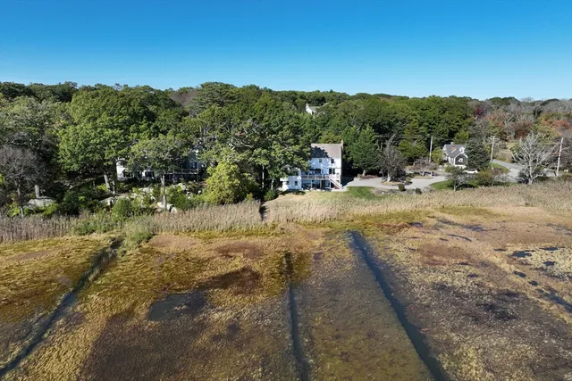 a view of a dirt yard with a large tree