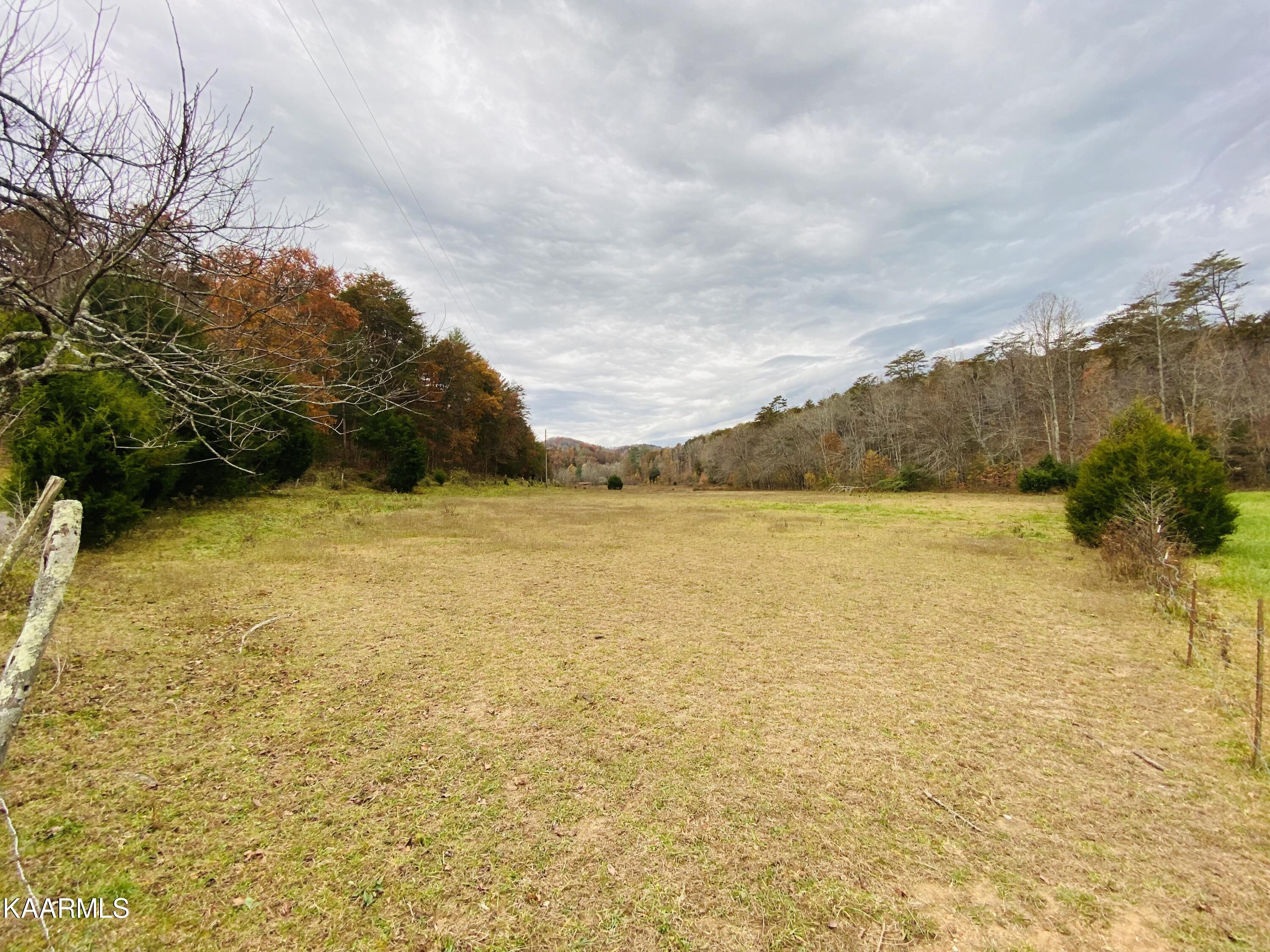 Towee Falls Road Tellico Plains, TN 37385 - Photo 1 of 9 1E58AEC4-33F5-447C-B454-64516BE4B4BA
