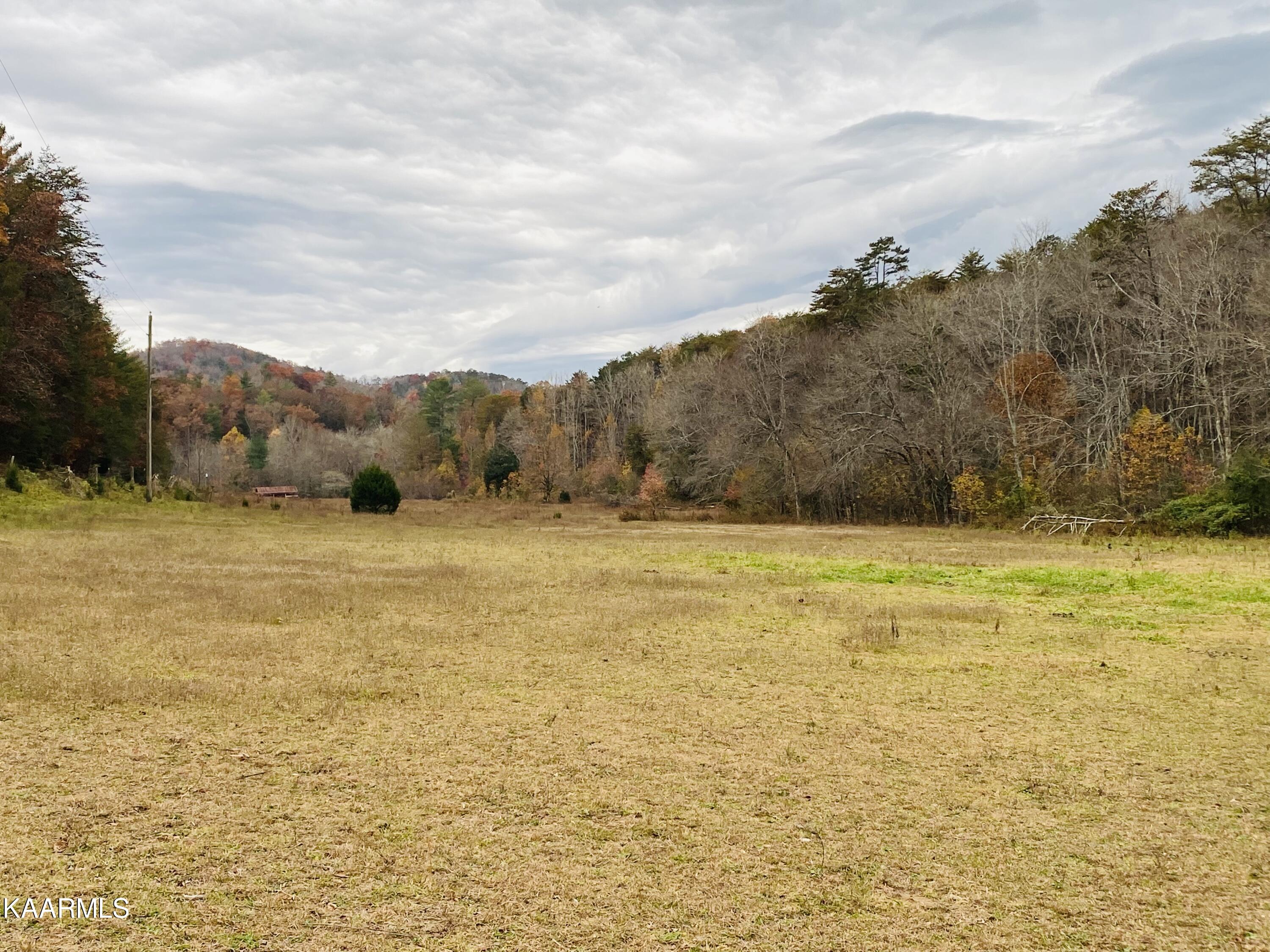 Towee Falls Road Tellico Plains, TN 37385 - Photo 4 of 9 40370040-B5A2-4C1C-94AF-F522239DAB26
