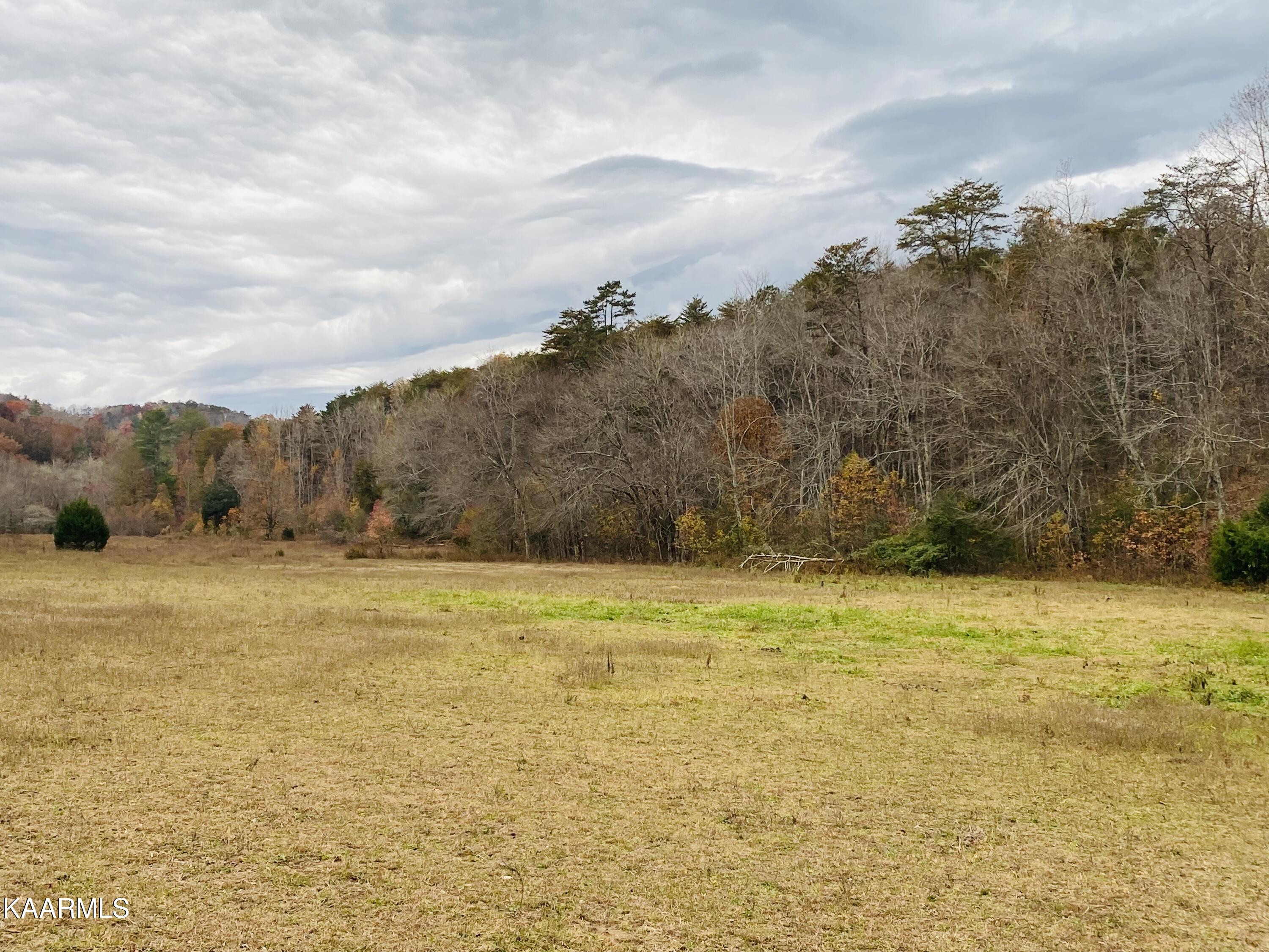 Towee Falls Road Tellico Plains, TN 37385 - Photo 5 of 9 21F6A7ED-BE09-4F3F-A168-E735679A08BA