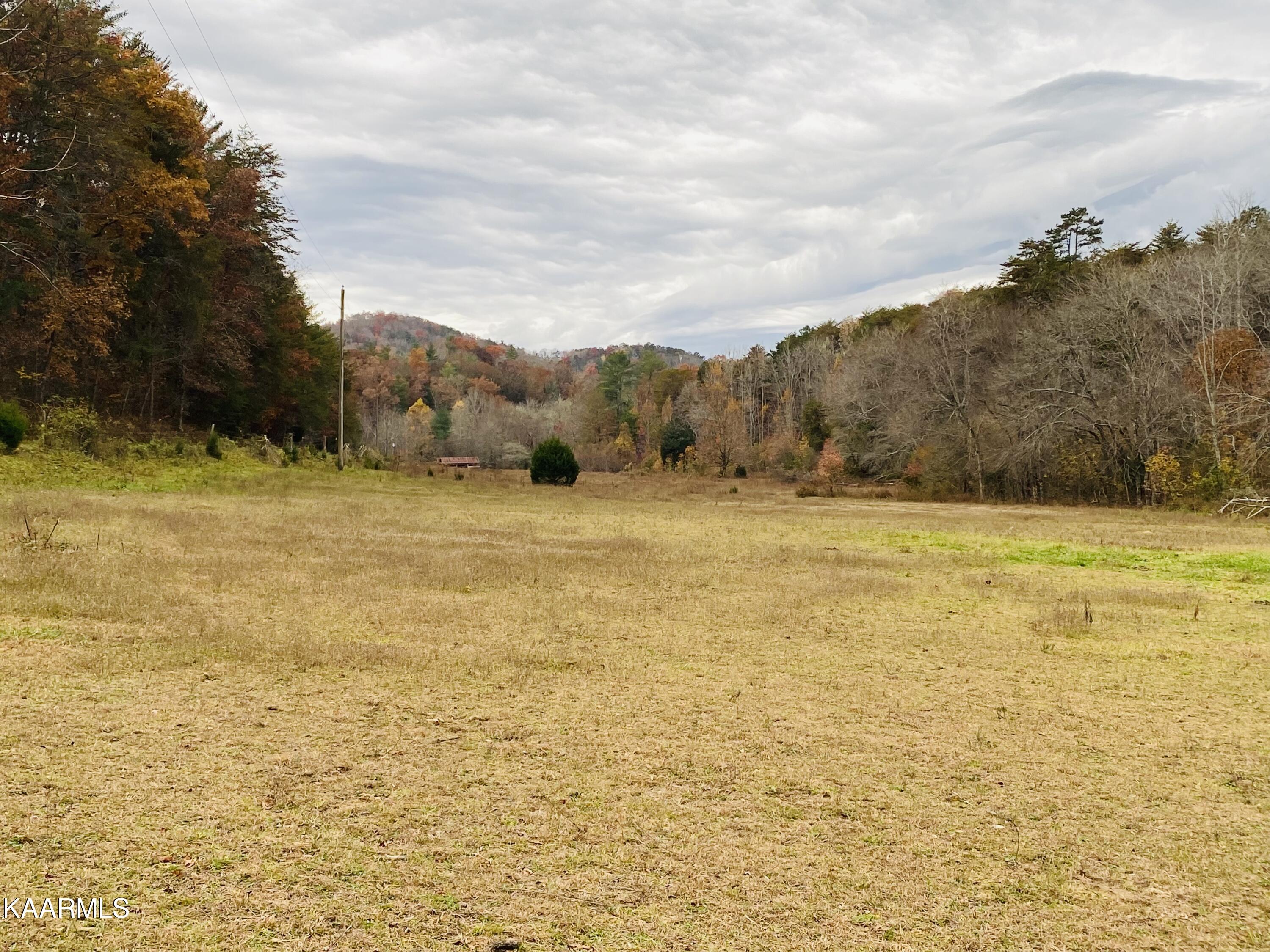 Towee Falls Road Tellico Plains, TN 37385 - Photo 6 of 9 2D11B4E8-9D5F-409E-8209-696D1E1877E2