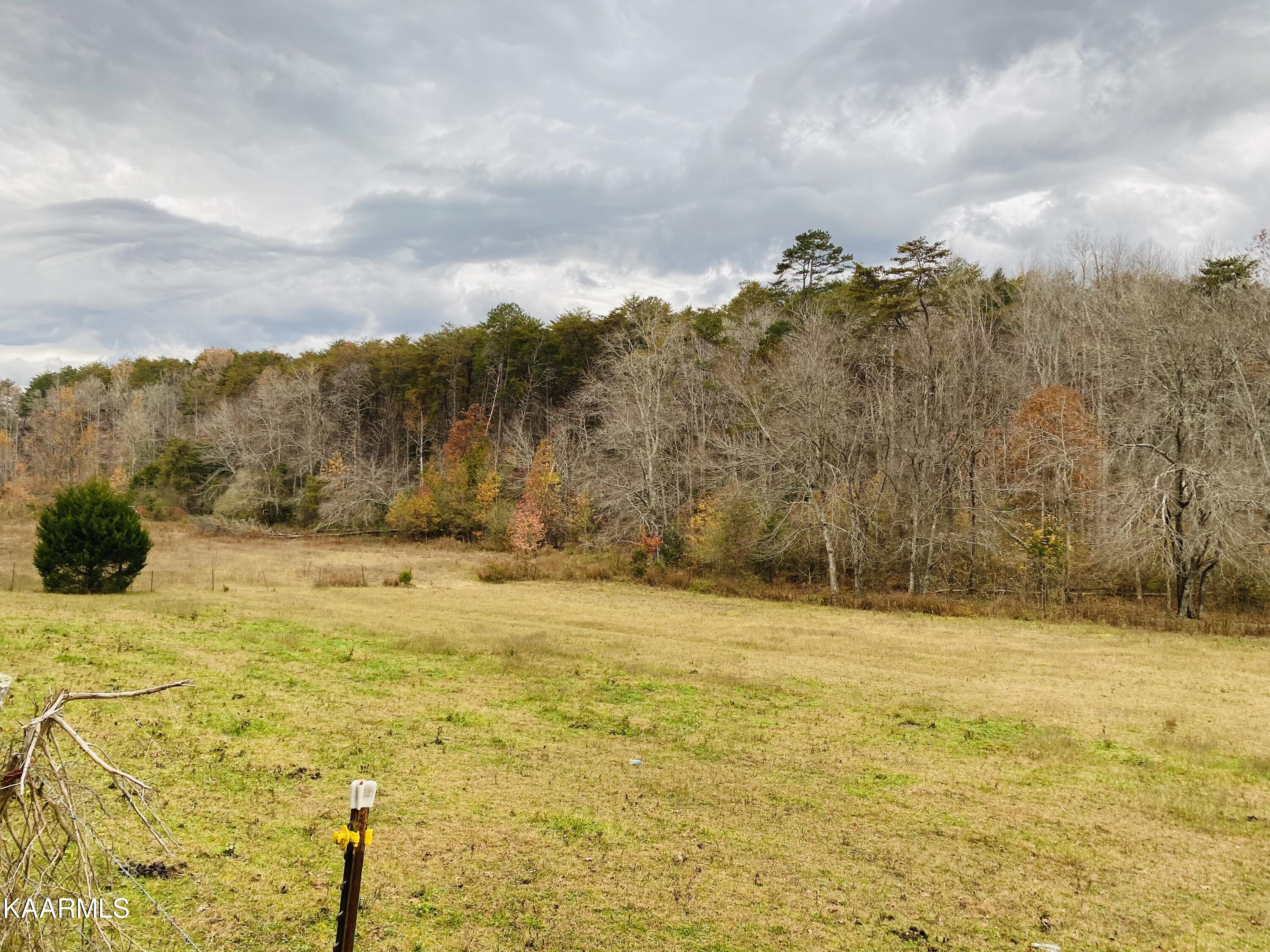 Towee Falls Road Tellico Plains, TN 37385 - Photo 8 of 9 28529E80-C76D-460D-8D77-B34A8CBCD30A