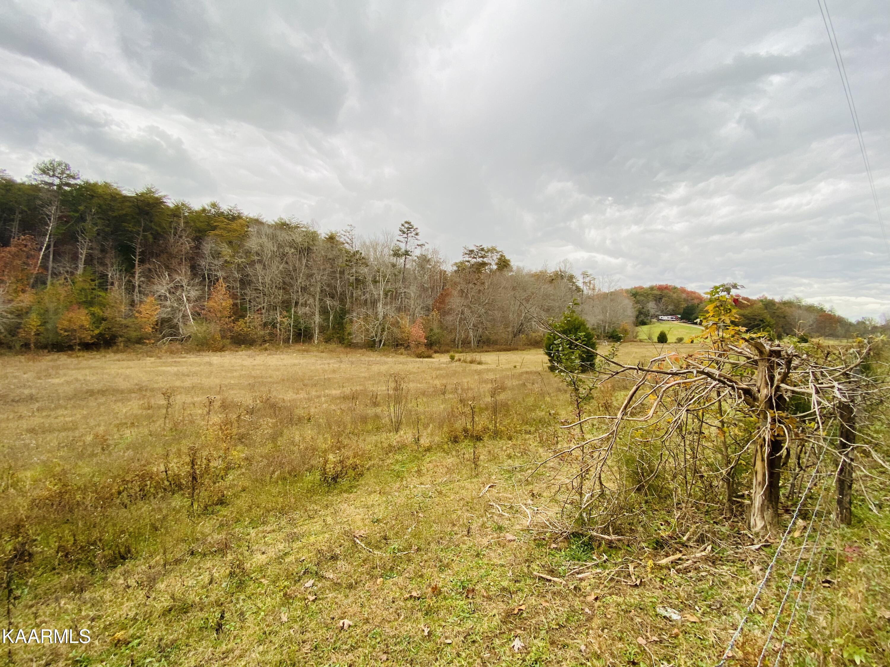 Towee Falls Road Tellico Plains, TN 37385 - Photo 9 of 9 D5EDBE9A-128E-4091-8352-F8007162AC1C