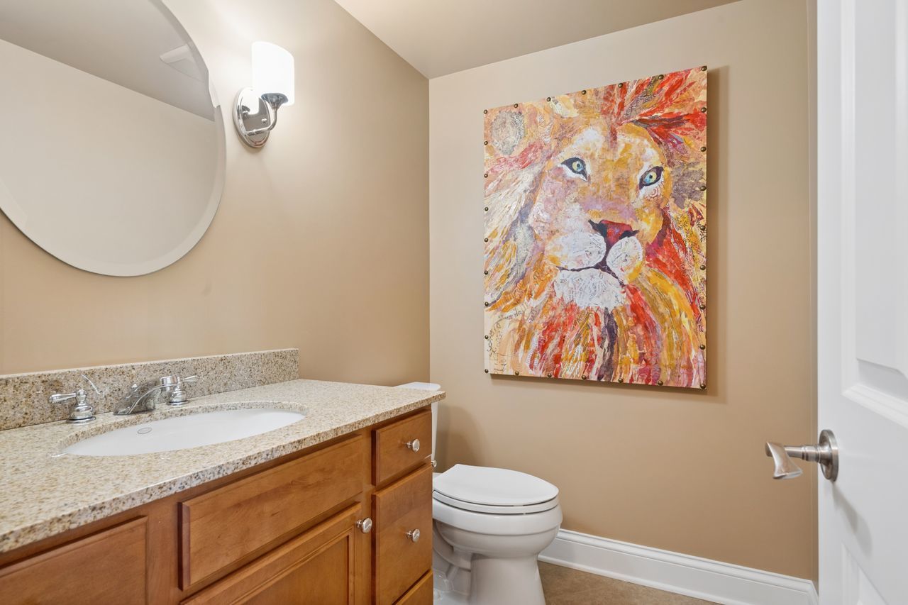 1029 Ridgeview Drive Inverness, IL 60010 - Photo 47 of 58 a bathroom with a granite countertop sink and a mirror