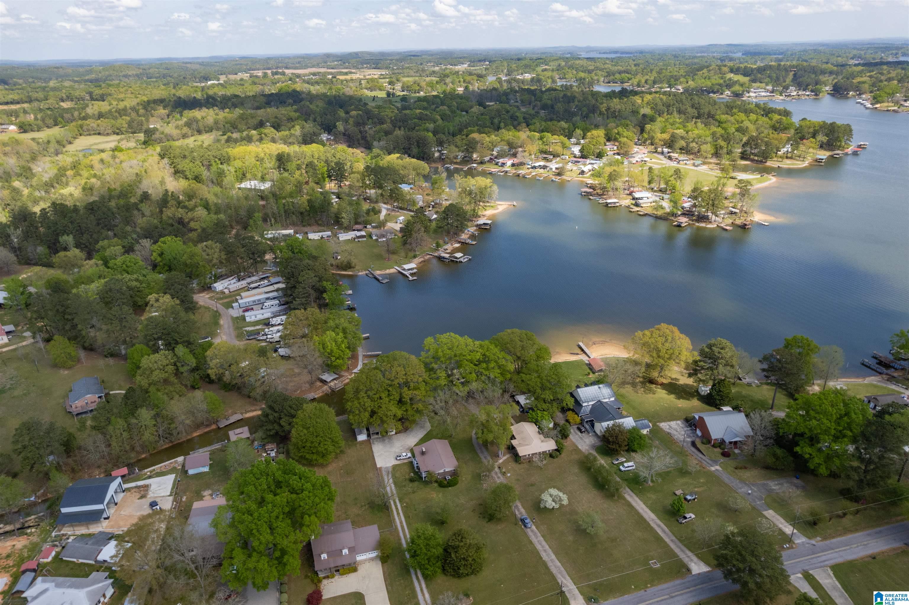 509 Coosa Island Road Cropwell, AL 35054 - Photo 48 of 52
