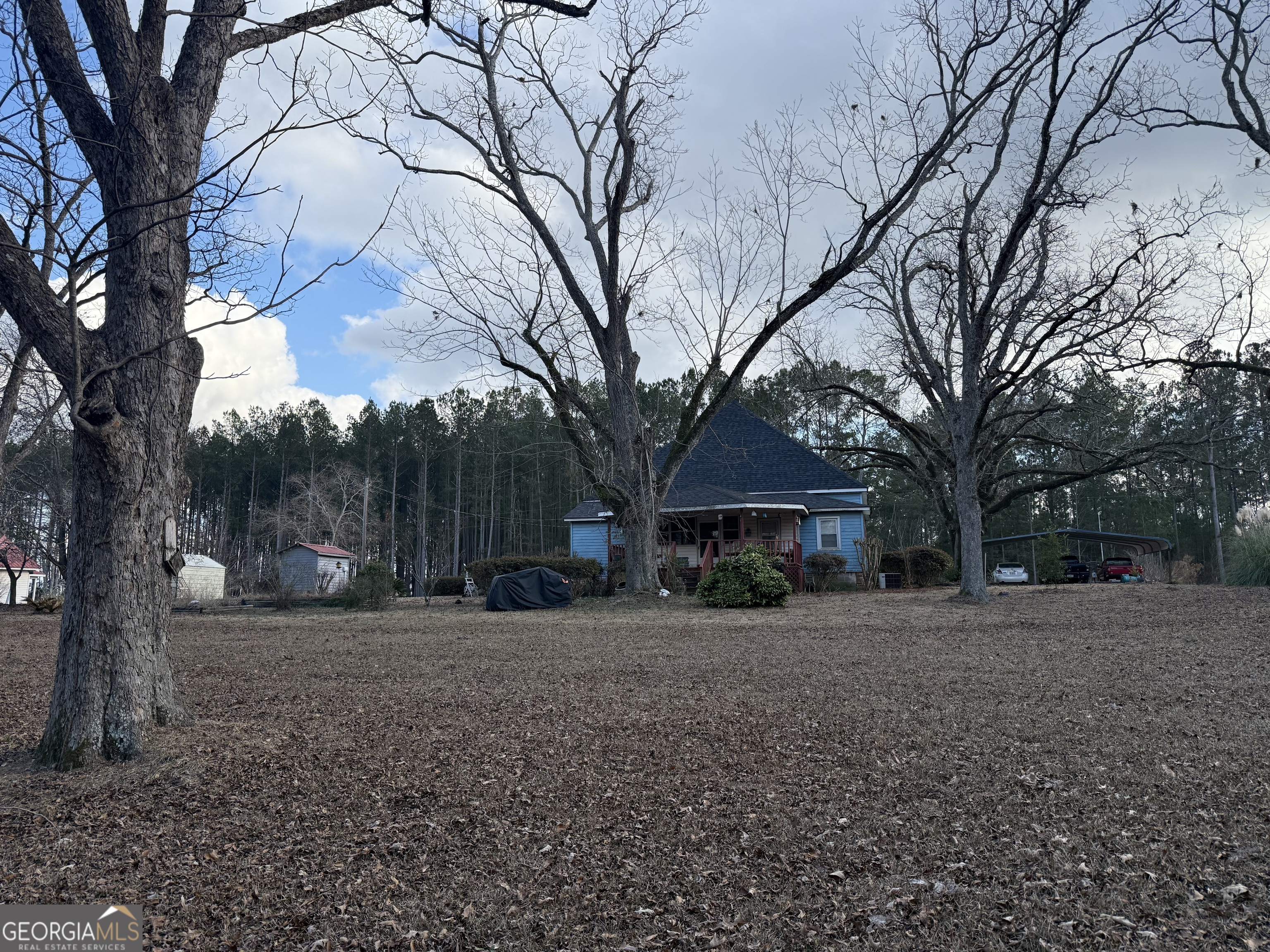 1769 Payne Road Rentz, GA 31075 - Photo 5 of 33 a view of a yard with a tree