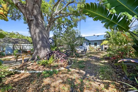 a view of a house with a tree