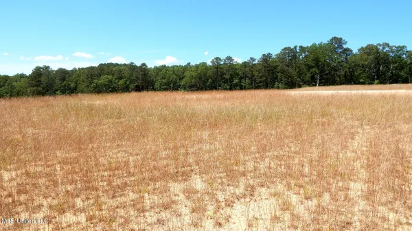 $64,500 | 612 A Hugh White State Pk Road, Grenada, MS 38901