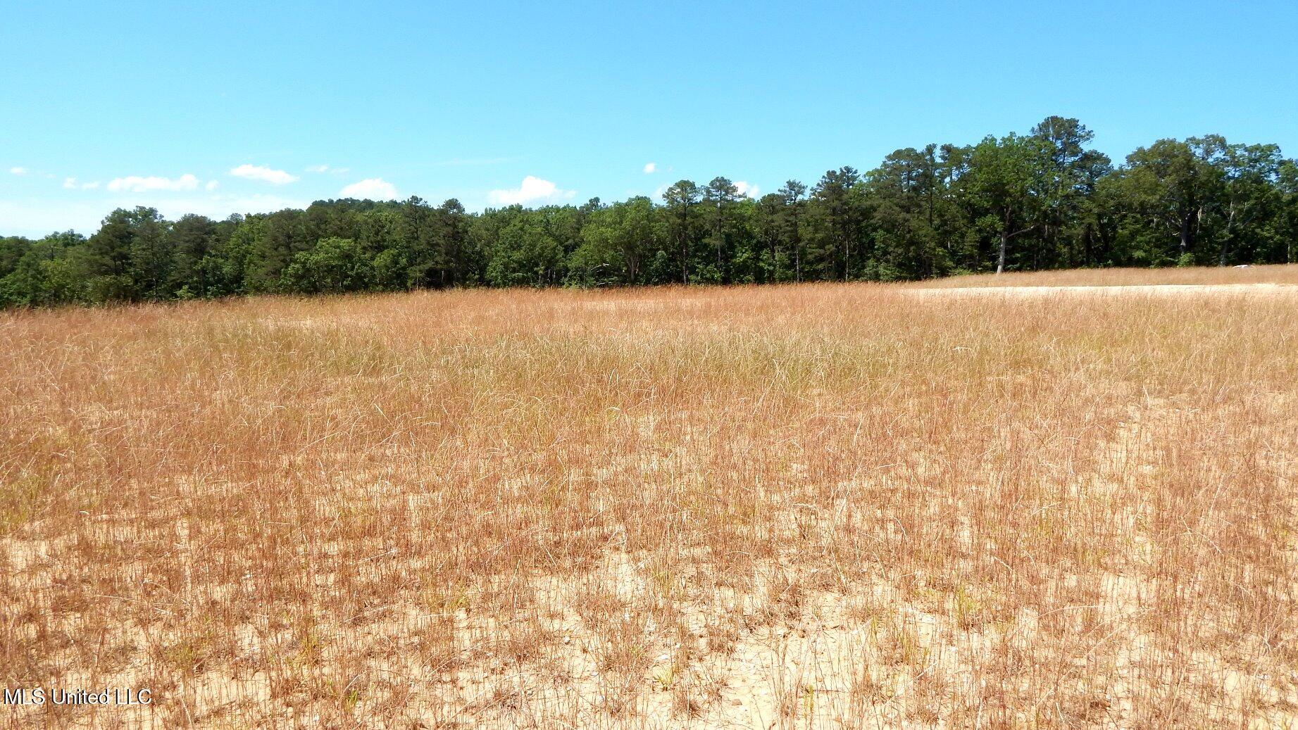 612 A Hugh White State Pk Road Grenada, MS 38901 - Photo 2 of 15 DSCN6956